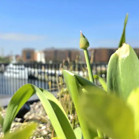 Marina Riverside Nadmotlawie By Triapart